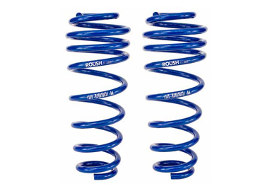 Roush%20Rear%20Springs.jpg