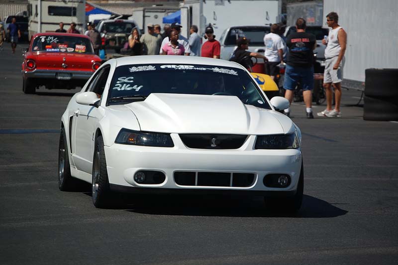 DSC_0314.jpg