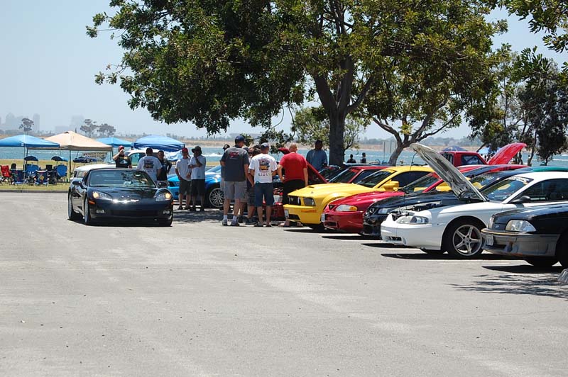 DSC_0220