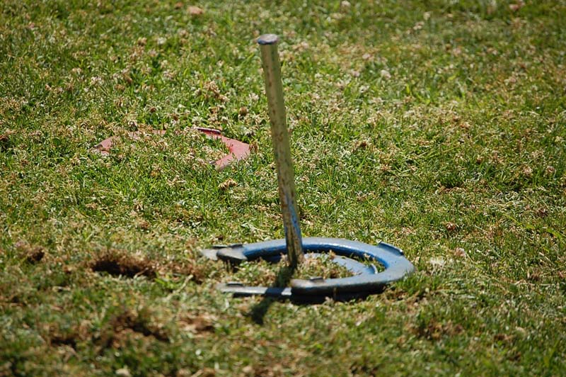 DSC_0320