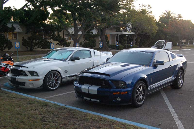 DSC_0011.jpg